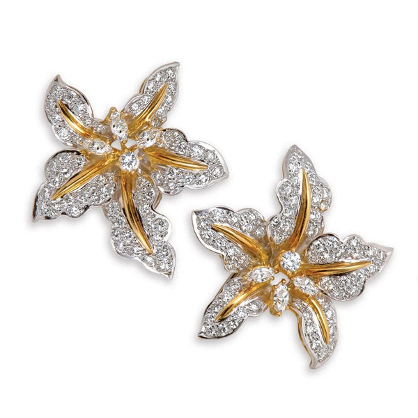 Buy Cz Classic Earring with 2 Tone plating 404156 | Kanhai Jewels